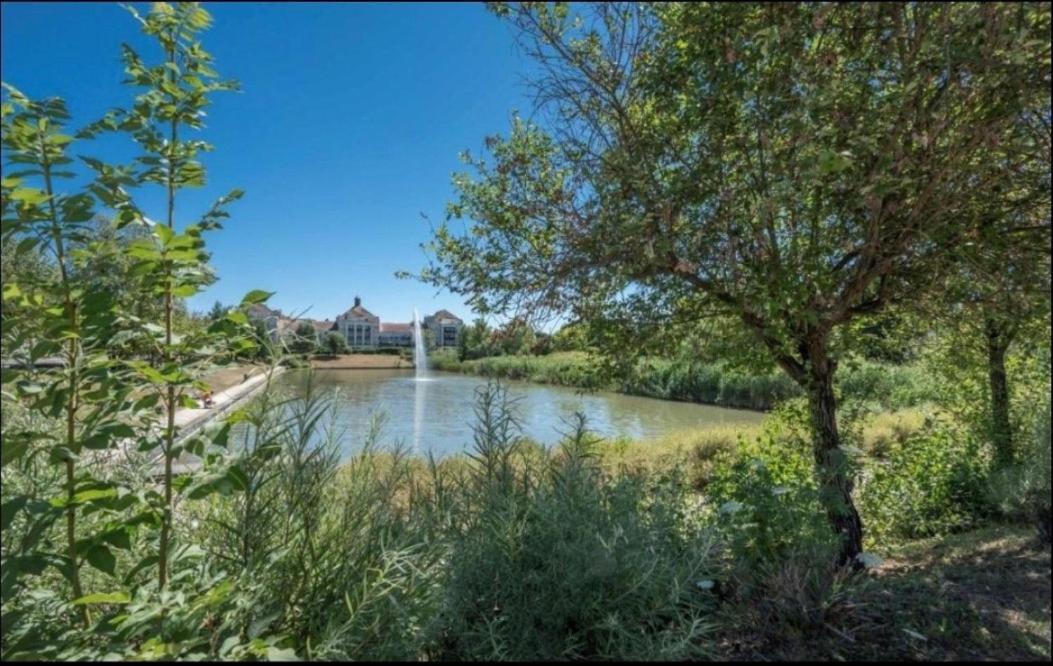 Appartement Castle - 10 Minutes De Disney Bussy-Saint-Georges Exterior photo